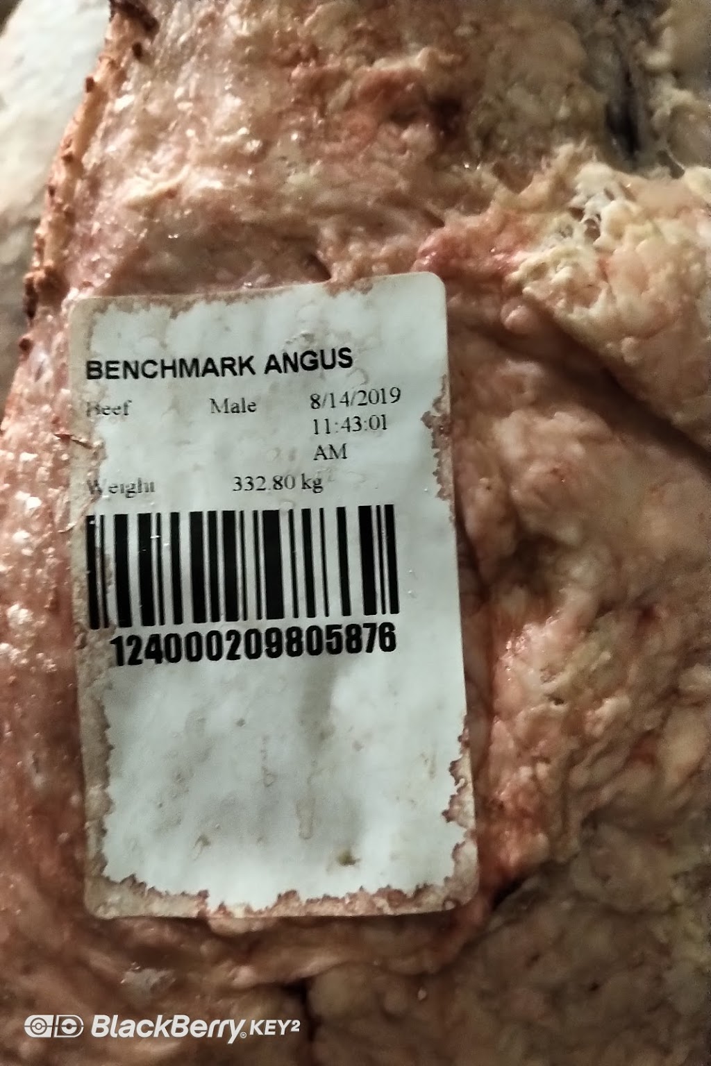 Bens Quality Meats Ltd. | 100 Factory Dr, Picture Butte, AB T0K 1V0, Canada | Phone: (403) 732-5122