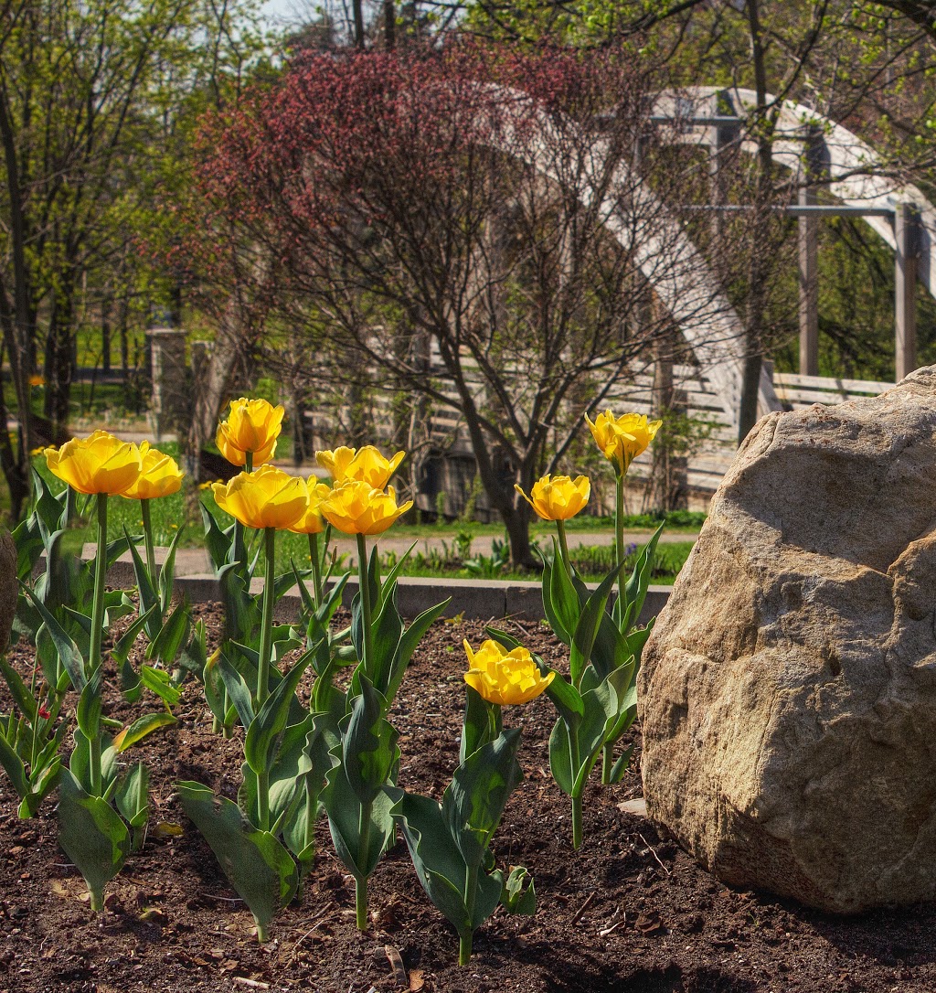 Kiwanis Memorial Park | 400 Main St S, Brampton, ON L6W, Canada | Phone: (416) 779-5622