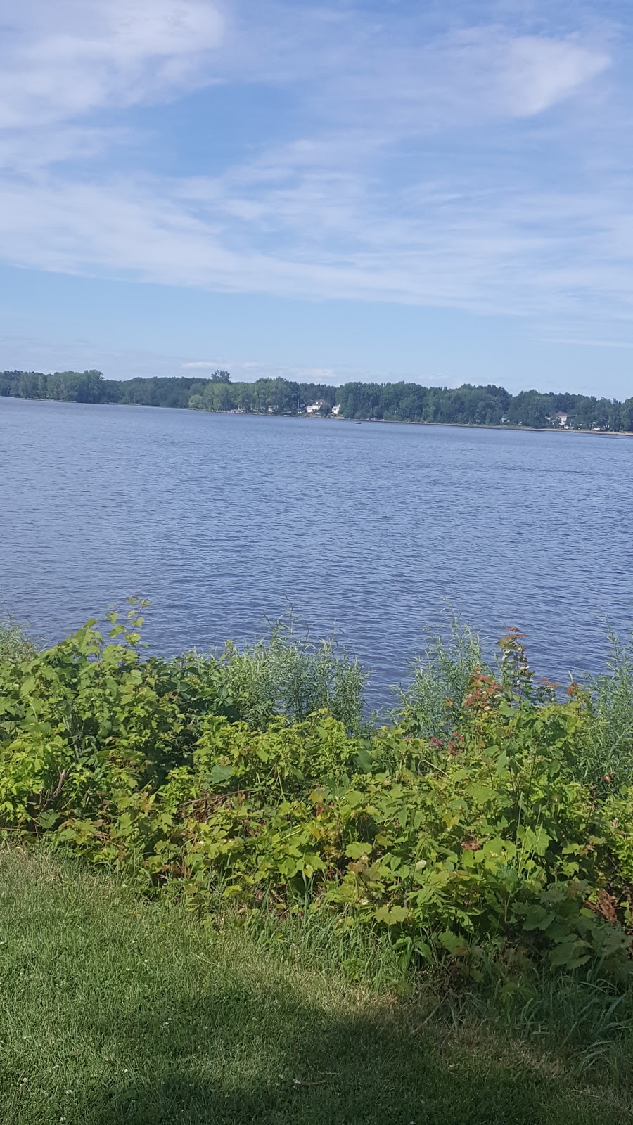 Parc Aimé-Struthers | 69 Chemin du Grand-Moulin, Deux-Montagnes, QC J7R 3C3, Canada | Phone: (450) 473-4688