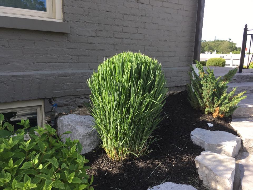 Fine Cut Landscaping | 1100 Sheffield Rd, Cambridge, ON N1R 5S2, Canada | Phone: (519) 651-7044