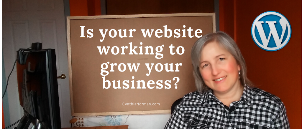 Cynthia Norman Digital | 1739 S Baptiste Lake Rd, Bancroft, ON K0L 1C0, Canada | Phone: (613) 827-3457