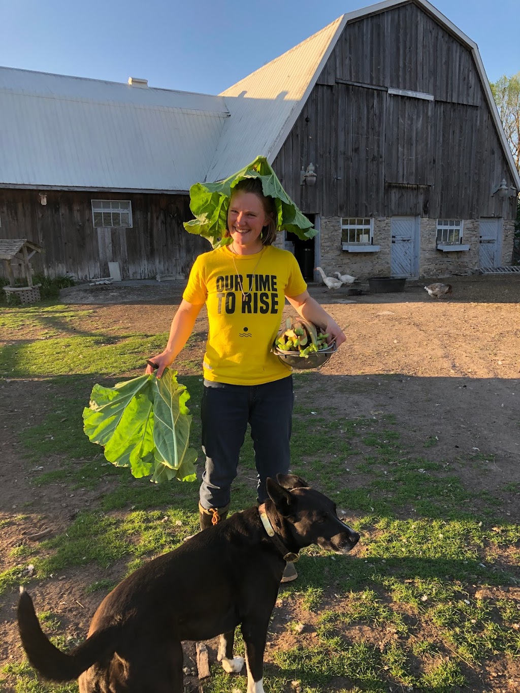 Plainfield Heritage Farm | 105 Shannon Rd, Plainfield, ON K0K 2V0, Canada | Phone: (613) 403-6050