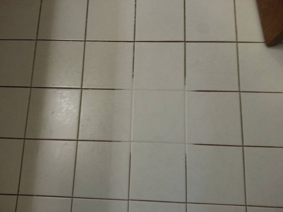 Royale Carpet Care | 1364 Plains Rd E, Burlington, ON L7R 3P8, Canada | Phone: (416) 876-2712