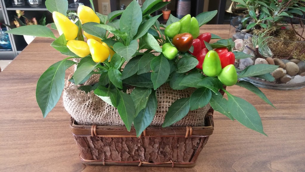Bouquet De Campagne | 18 Rue Alcide-Savoie, Sherbrooke, QC J1C 0T4, Canada | Phone: (819) 846-4441