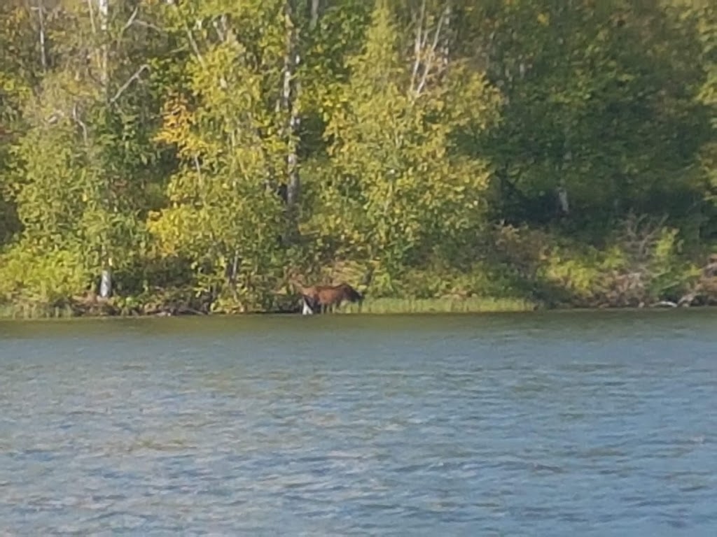 Long Island Lake Municipal Campground | 63332, Range Rd 260, Westlock County, AB T0G 1H0, Canada | Phone: (780) 954-2261