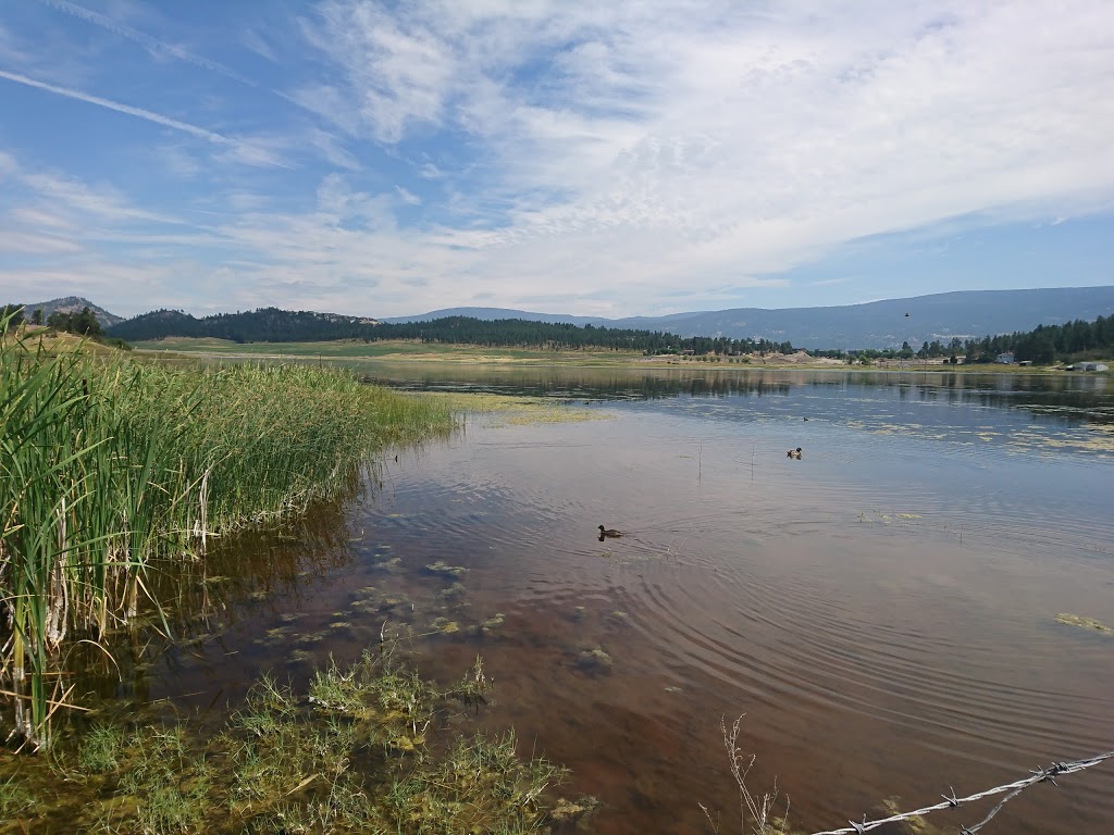 Robert Lake Regional Park | 956 Curtis Rd, Kelowna, BC V1V 2C9, Canada | Phone: (250) 763-4918