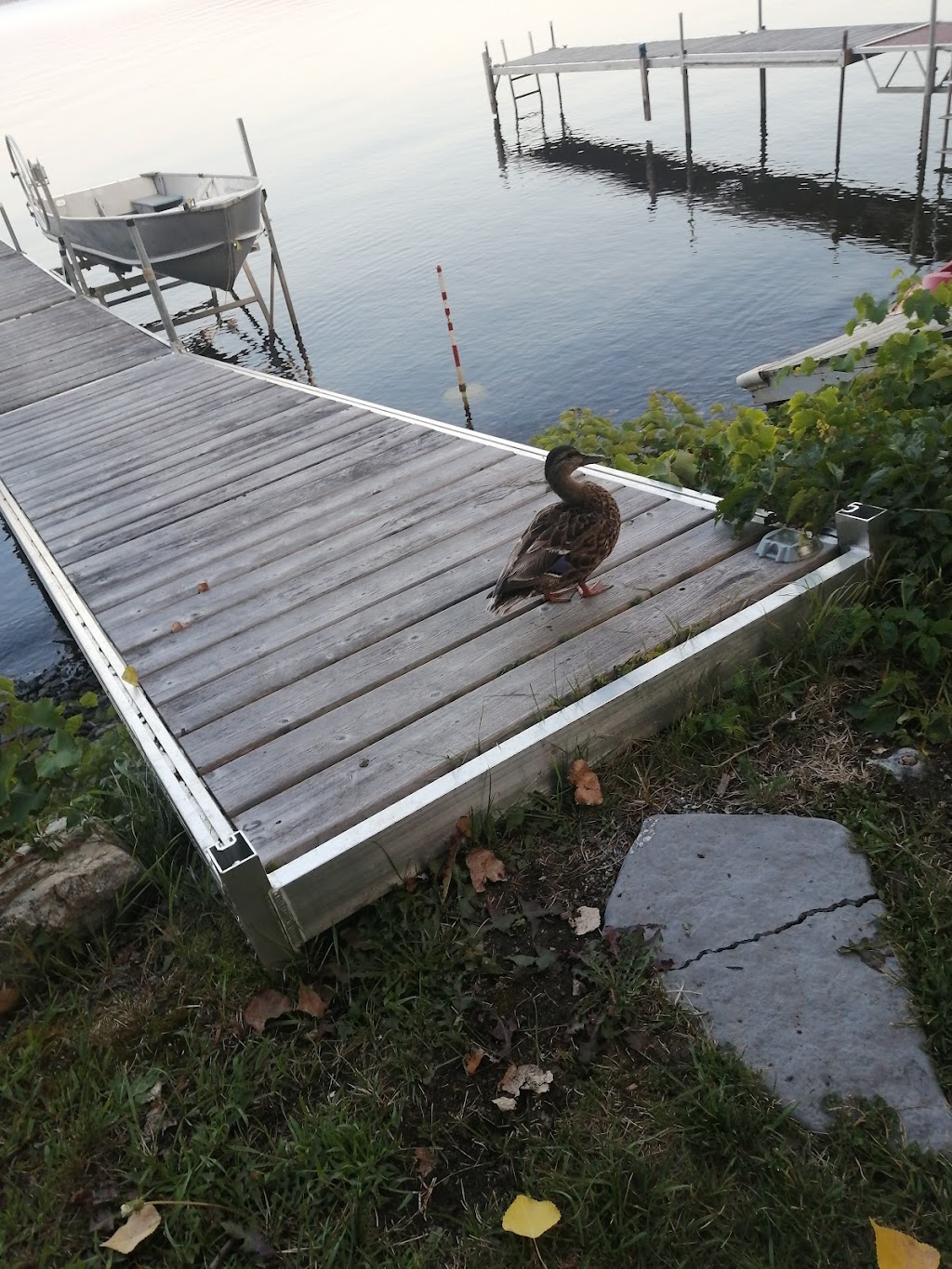Comfort Du Lac | 5626 Chem. du Camp Comfort, Beaulac-Garthby, QC G0Y 1B0, Canada | Phone: (450) 546-7666