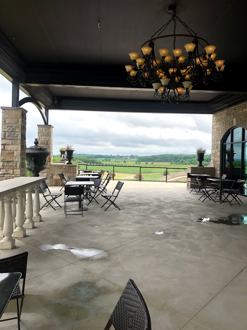 Megalomaniac Winery | 3930 Cherry Ave, Vineland, ON L0R 2C0, Canada | Phone: (905) 562-5155