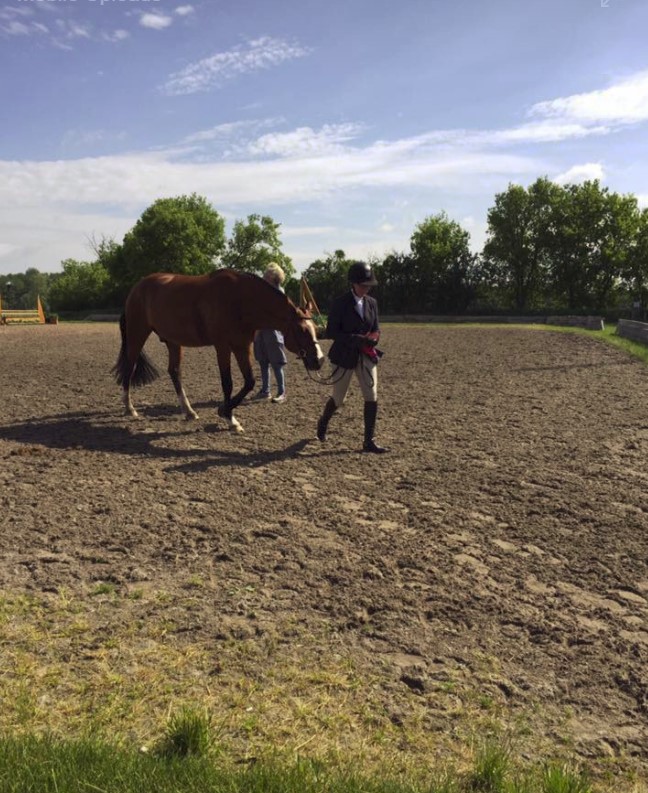 Bayview Equestrian Centre | 3180 Cedar Springs Road #A, Burlington, ON L7P 0P7, Canada | Phone: (905) 331-6516
