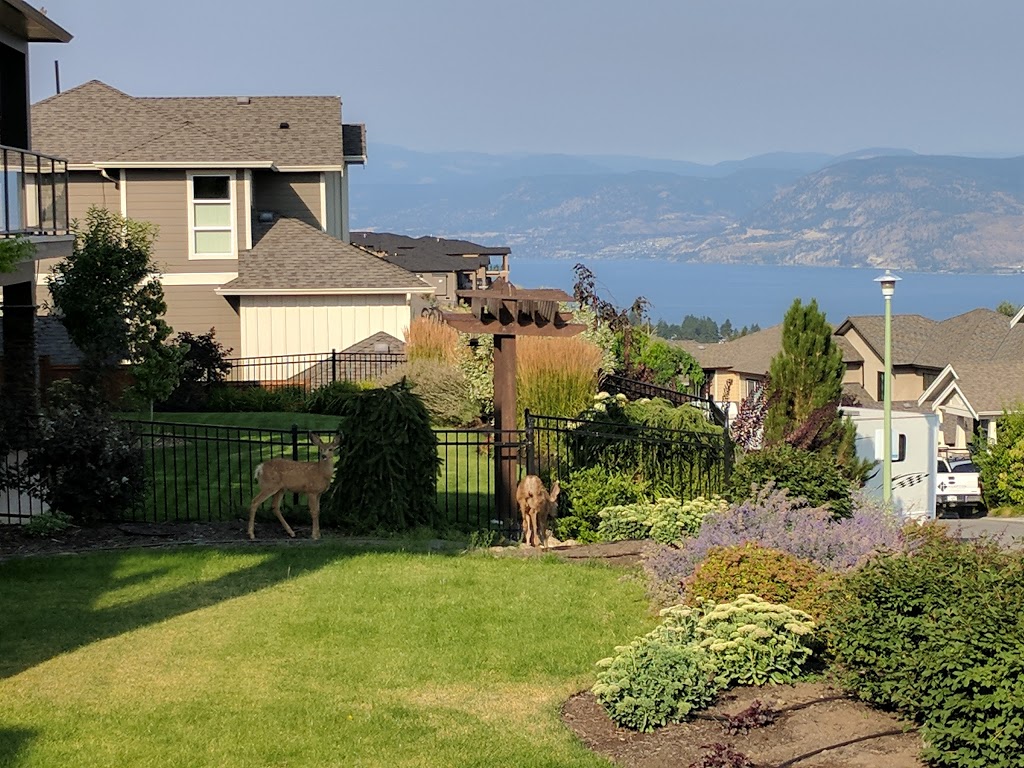 Hilltop Escape B&B | Hewetson Court, Kelowna, BC V1W 5H8, Canada | Phone: (778) 477-1151