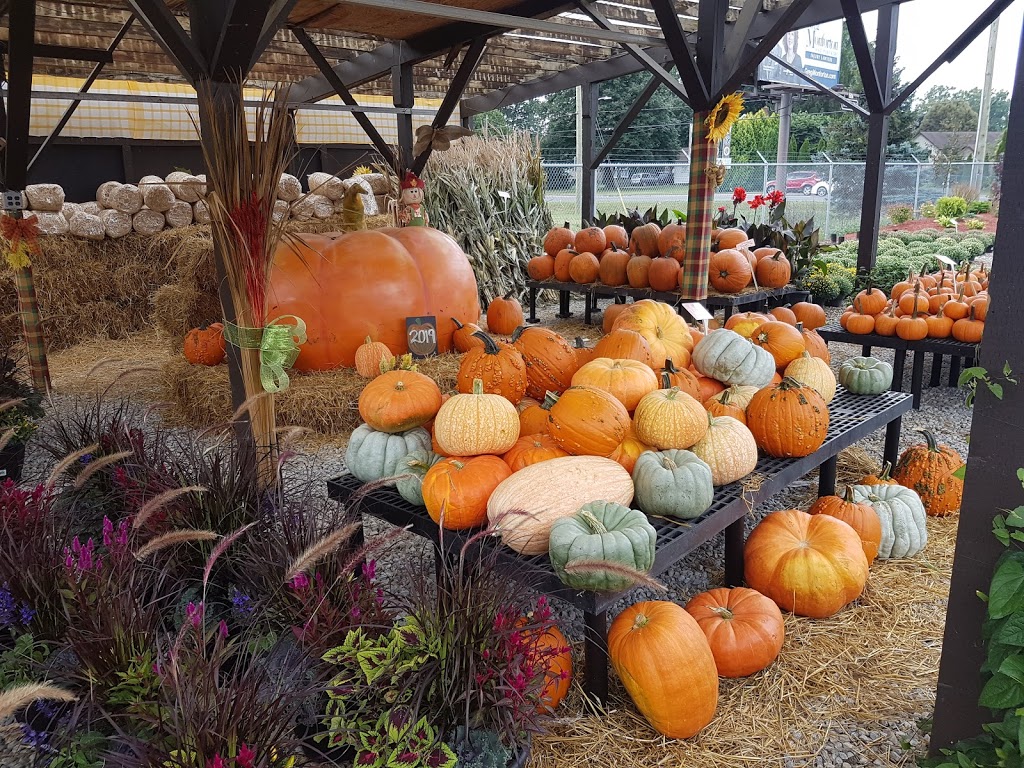 De Goey Nursery | 665 St Clair St, Chatham, ON N7L 4G8, Canada | Phone: (519) 358-1755
