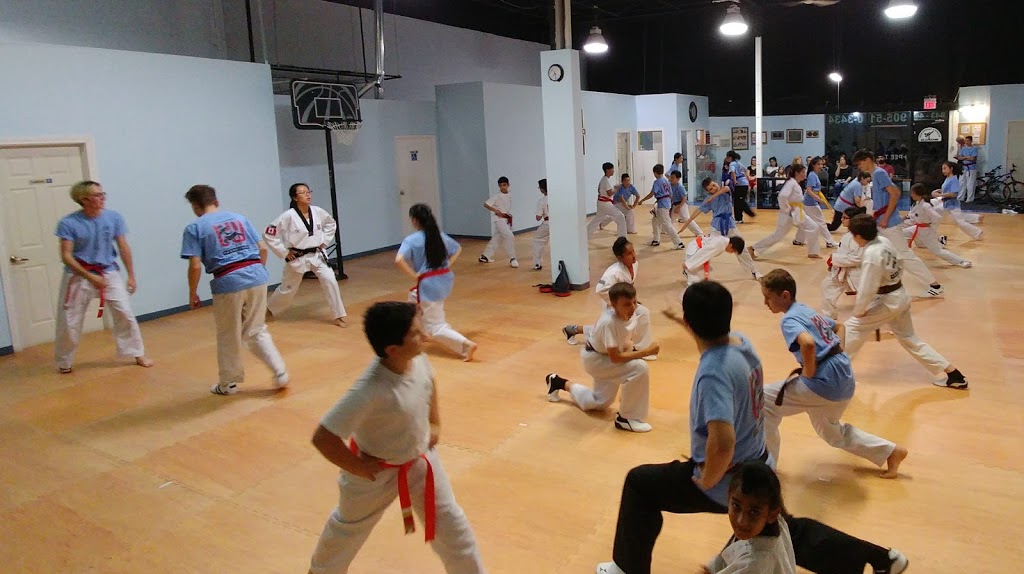 Seongs Taekwondo World | Oakville Martial Arts | 461 North Service Rd W B43-44, Oakville, ON L6M 2V5, Canada | Phone: (905) 510-3434