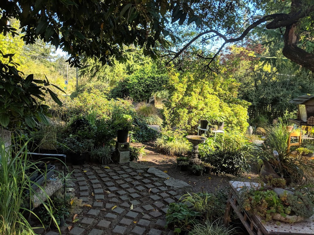 Garden Faire Gallery Nursery & Campground | 305 Rainbow Rd, Salt Spring Island, BC V8K 2M3, Canada | Phone: (250) 537-4346