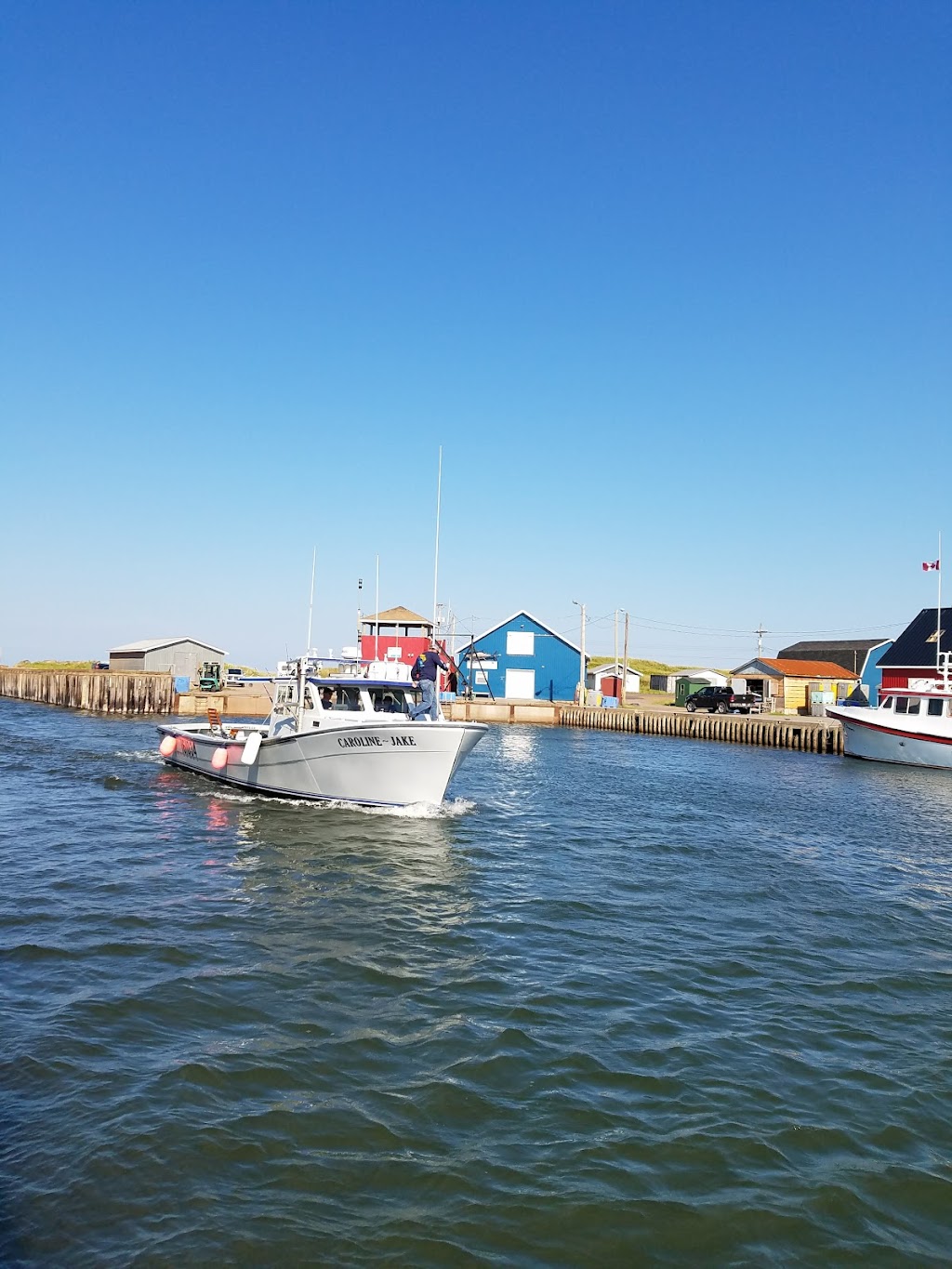 Scott Bruce Tuna Charters | Cape Rd, North Lake, PE C0A 1K0, Canada | Phone: (902) 969-7059