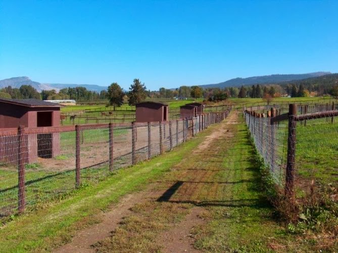 Okanagan Equine Veterinary Services | 4656 Wallace Hill Rd, Kelowna, BC V1W 4C2, Canada | Phone: (250) 764-9888