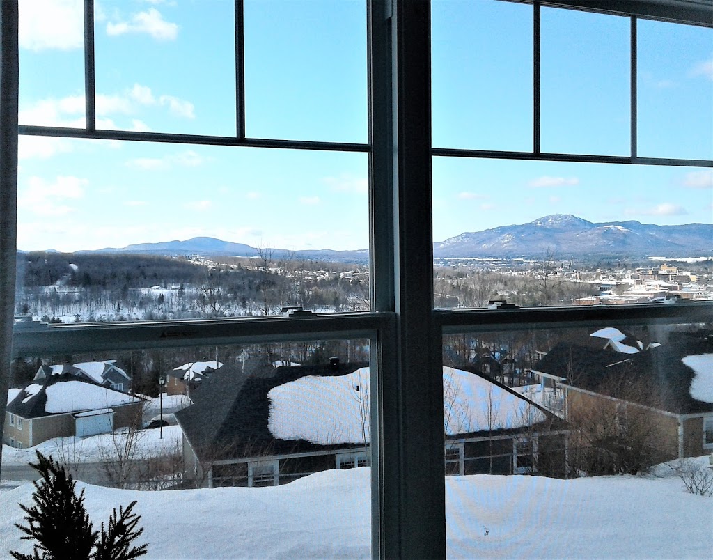 Art Chi - Magog | 649 Rue Saint-Alphonse S, Magog, QC J1X 3T7, Canada | Phone: (819) 588-3842