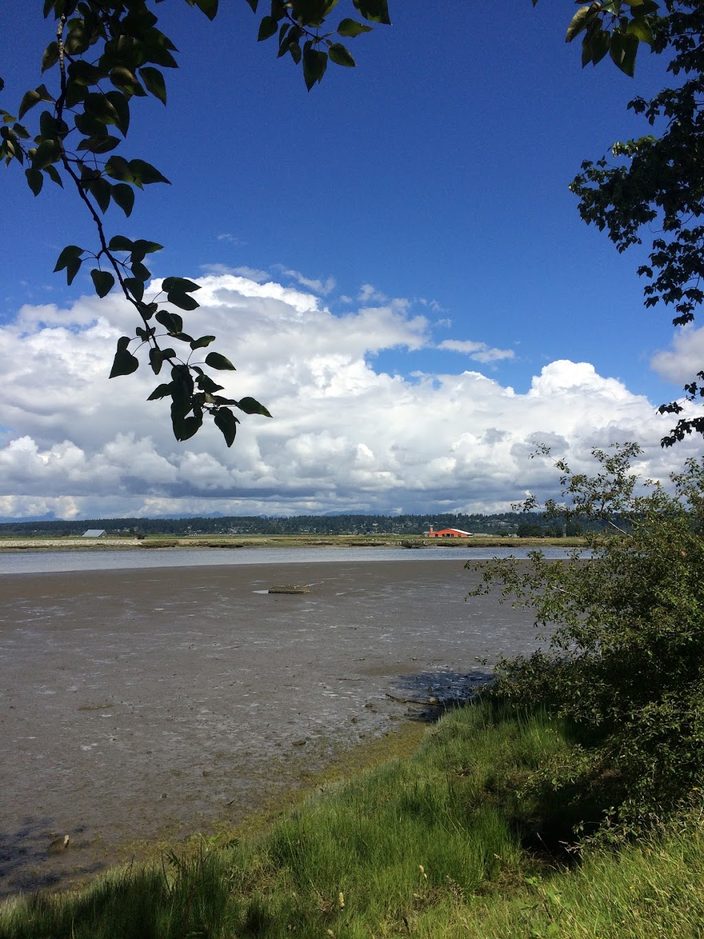 Mud Bay park | Surrey, BC V4A, Canada