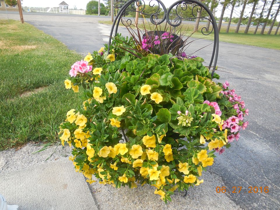 Hollas Produce & Greenhouses | 3651 Martin Rd, Val Caron, ON P3N 1R3, Canada | Phone: (705) 897-7554
