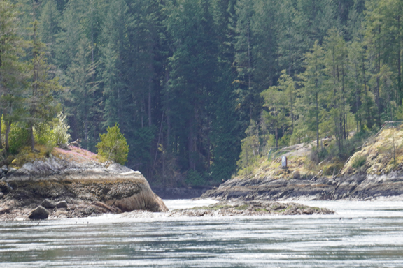 Sunshine Coast Tours | 16660 Backeddy Rd, Madeira Park, BC V0N 2H4, Canada | Phone: (604) 883-2280