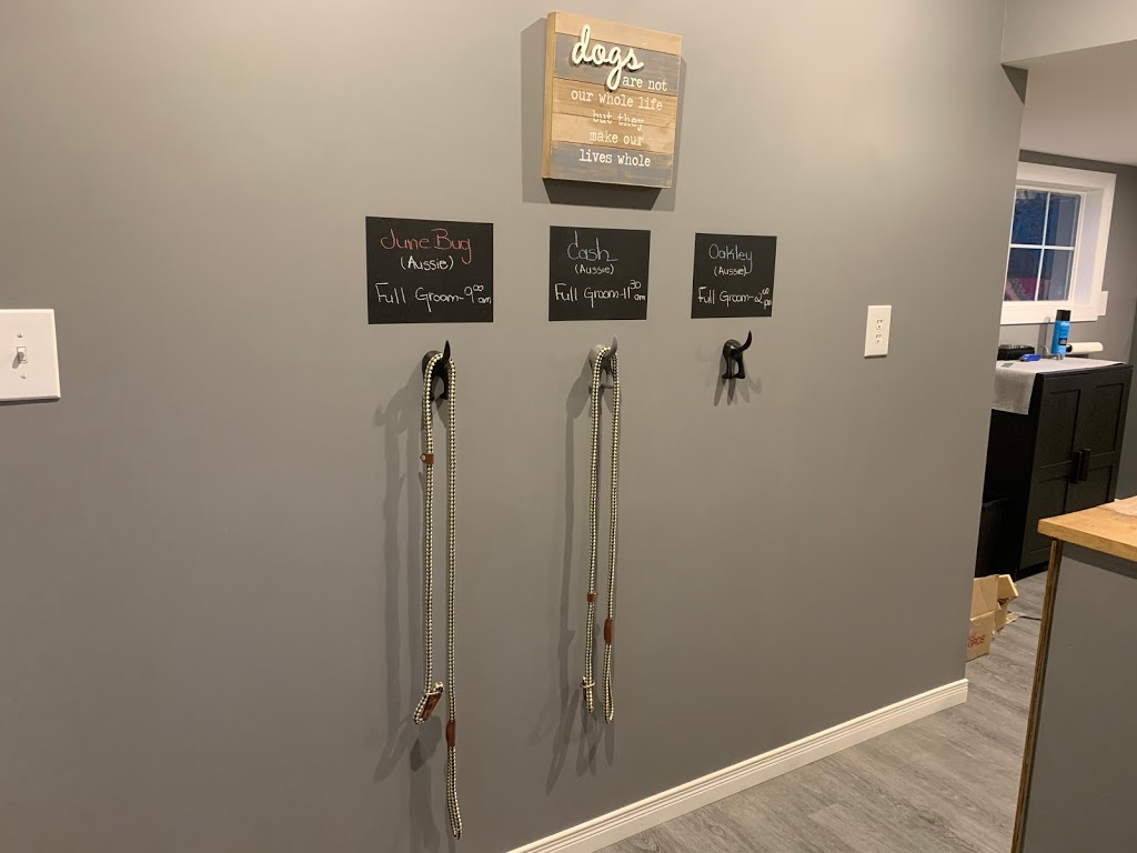 Creekside K9 Spa | 48259 Rush Creek Line, Aylmer, ON N5H 2R2, Canada | Phone: (519) 765-1944