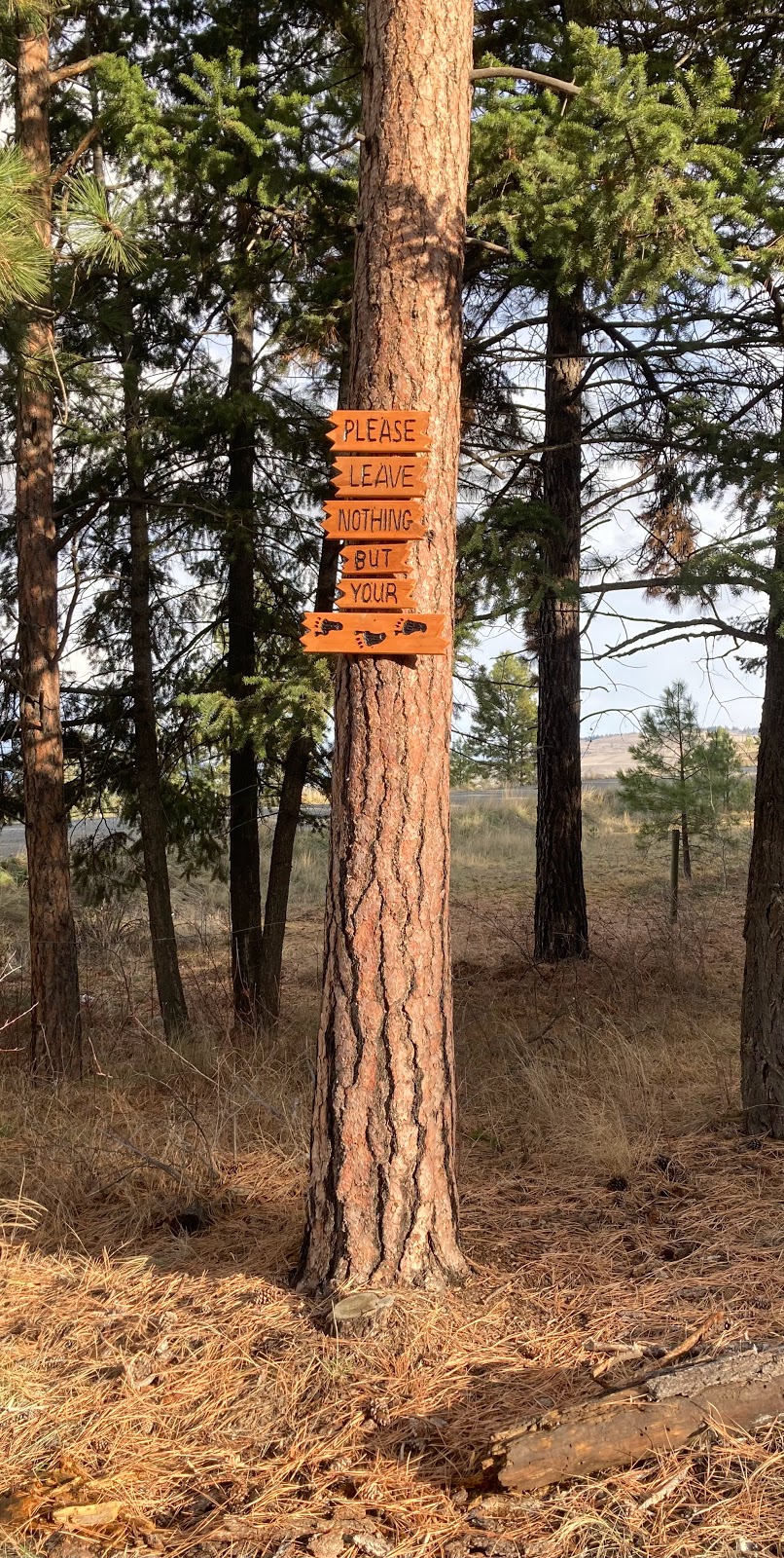 Godey Creek Hiking Trails Rec Site | Hamilton Hill Rd, Merritt, BC V1K 0B2, Canada | Phone: (604) 819-8825