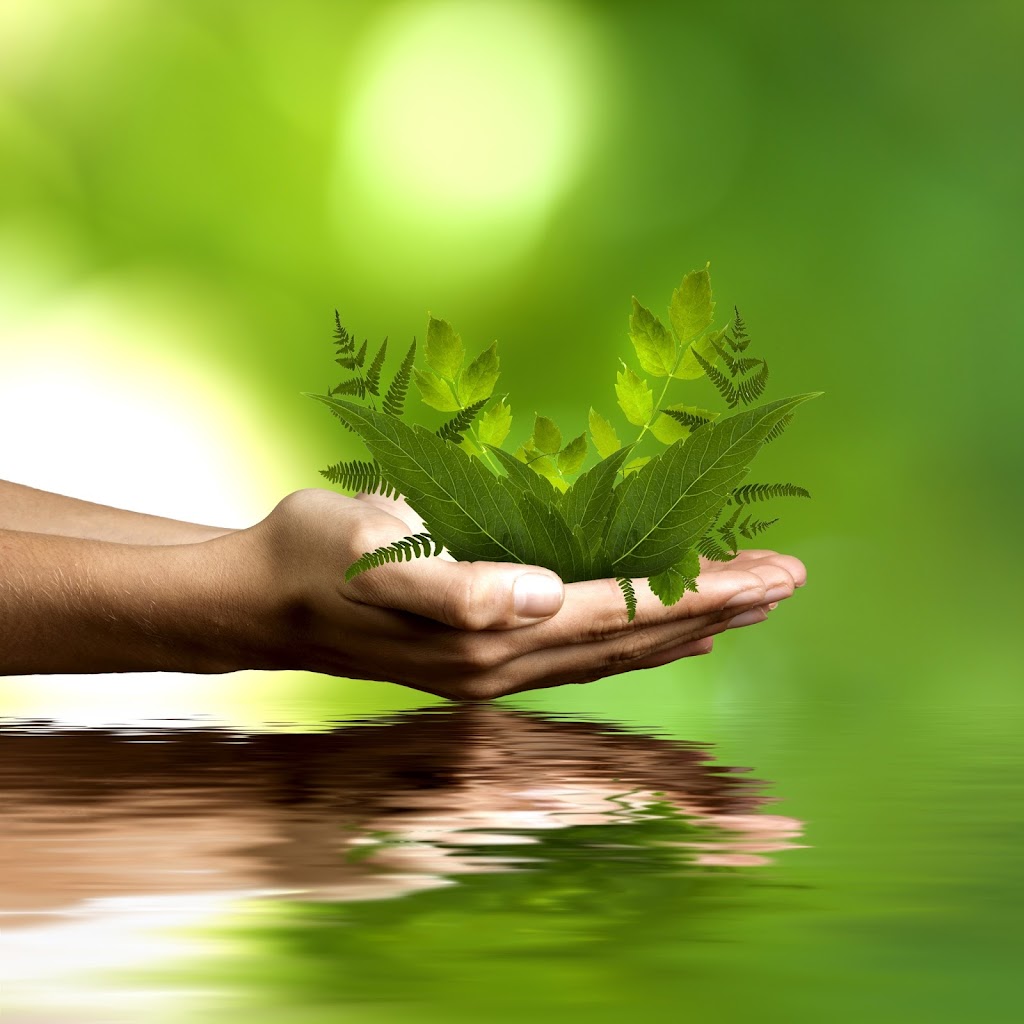 The Chakra House of Healing | 26 Grosvenor St N, Southampton, ON N0H 2L0, Canada | Phone: (416) 271-4936