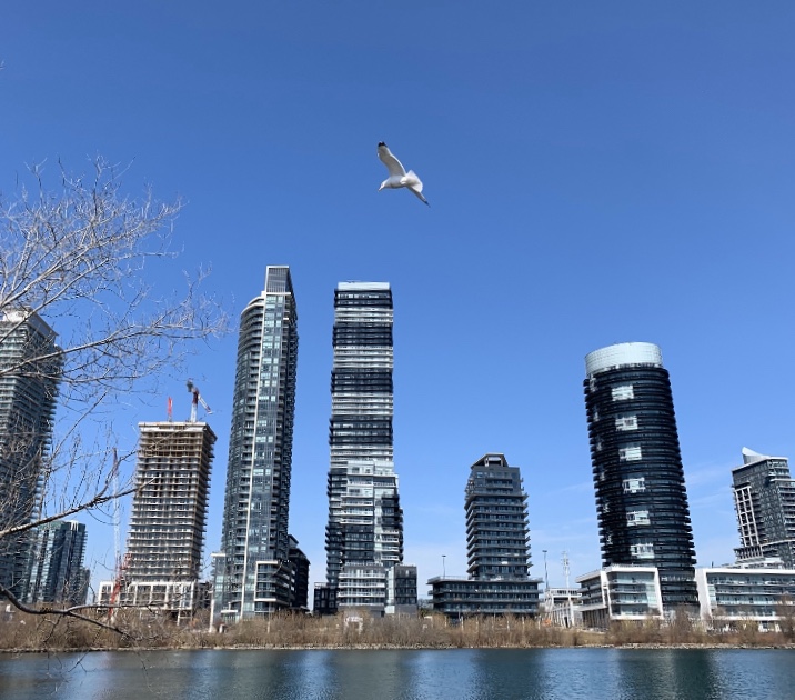 CondoTeamToronto Humber Bay Keller Williams Portfolio | 2121 Lake Shore Blvd W, Etobicoke, ON M8V 4E9, Canada | Phone: (647) 888-3358