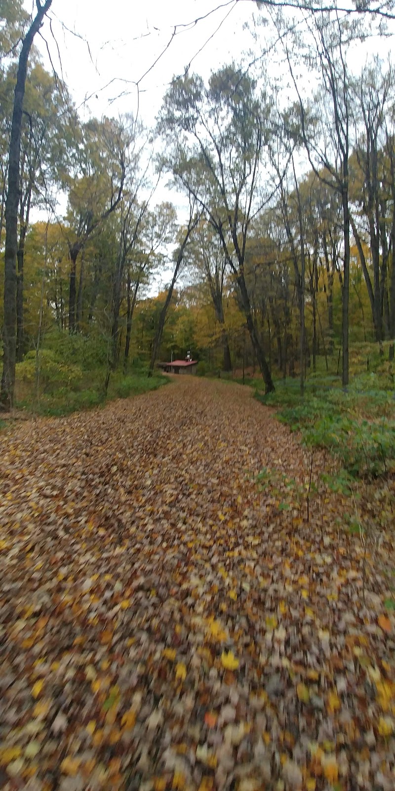 Purple Woods Conservation Area | 38 Coates Rd E, Oshawa, ON L1H 7K4, Canada | Phone: (905) 579-0411