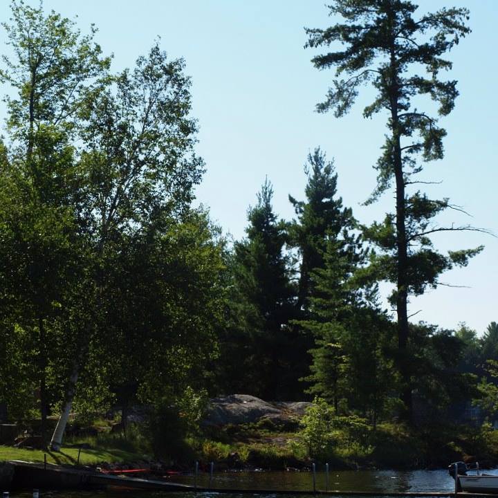 Jacks Lake Trailer Park- Seasonal Camping only | 253 Shady Ln, Apsley, ON K0L 1B0, Canada | Phone: (705) 930-7812