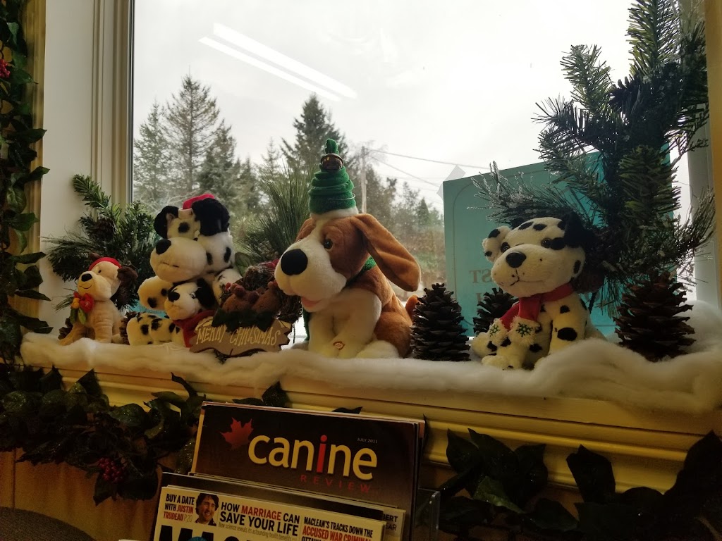 Paw Shoppe & Kennel | 662 Gondola Point Rd, Quispamsis, NB E2E 1L7, Canada | Phone: (506) 847-8812