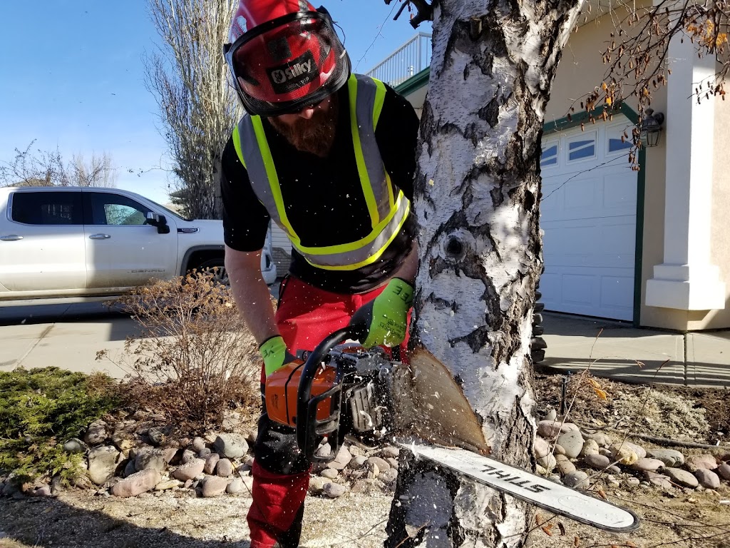 Bucks Tree Service | 1512 Grant Ct NW, Edmonton, AB T5T 6L3, Canada | Phone: (780) 934-8837