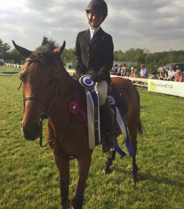 Bayview Equestrian Centre | 3180 Cedar Springs Road #A, Burlington, ON L7P 0P7, Canada | Phone: (905) 331-6516