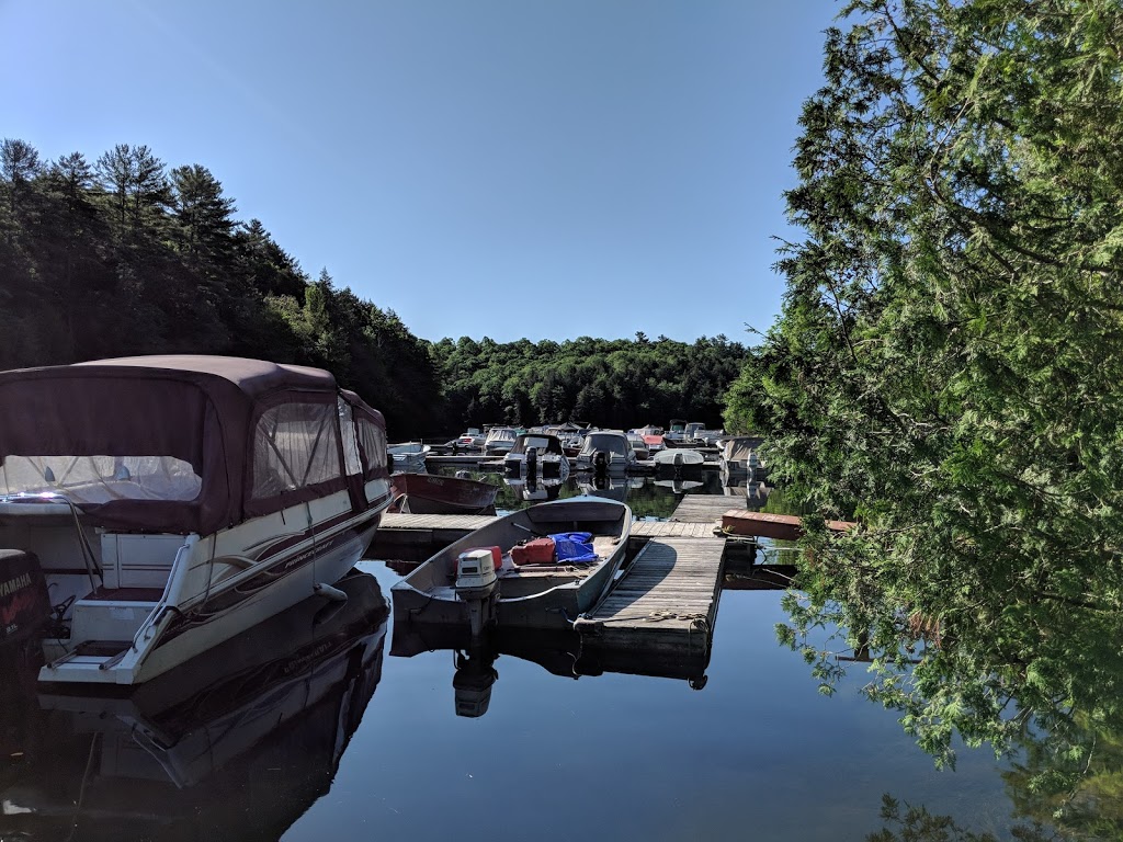Big Hawk Lake Marina | 1673 Big Hawk Lake Rd, Algonquin Highlands, ON K0M 1J2, Canada | Phone: (705) 489-2429