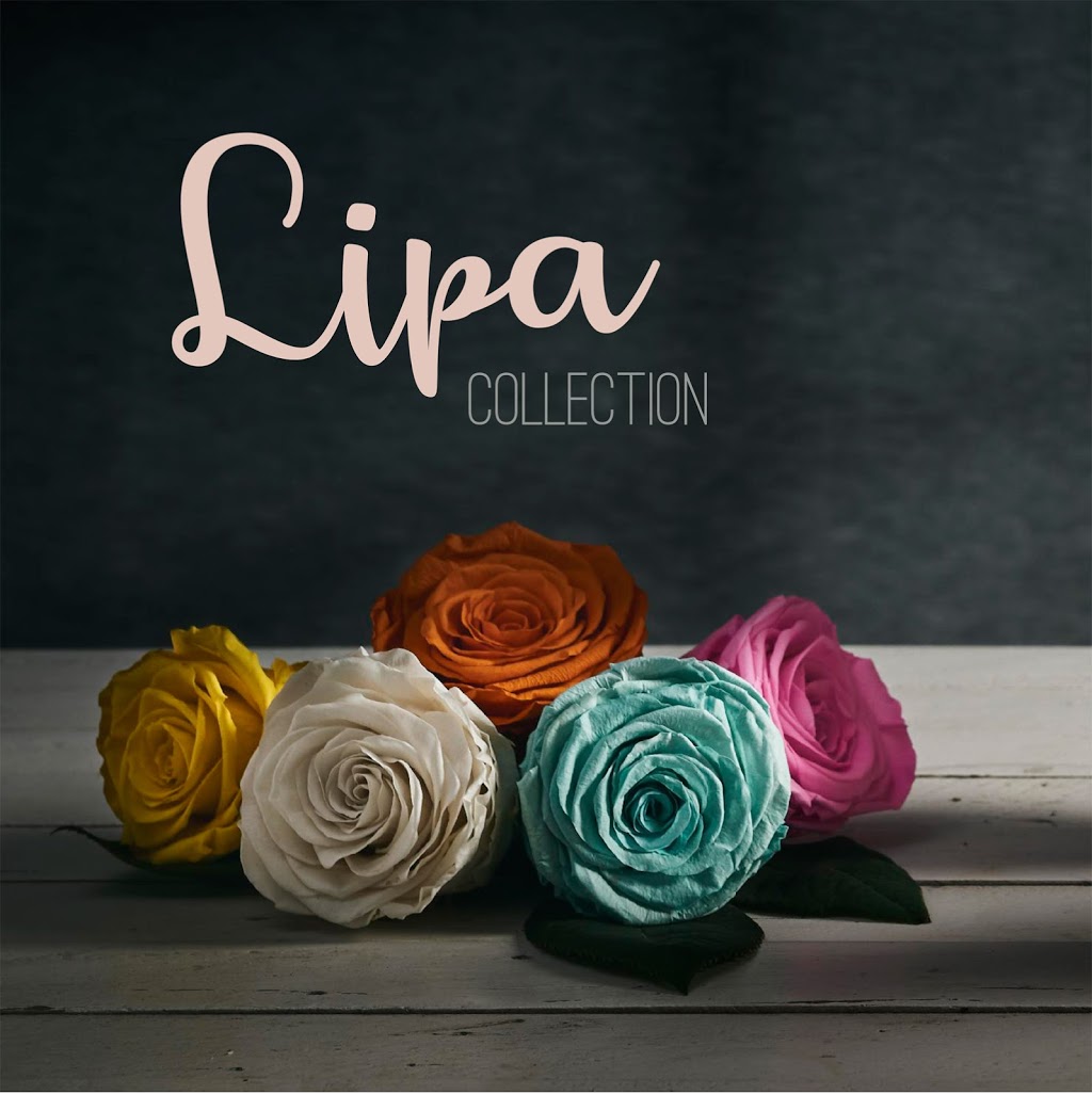 Ottawa Gifts | PH3, 1140 Fisher Ave, Ottawa, ON K1Z 8M5, Canada | Phone: (613) 558-7851