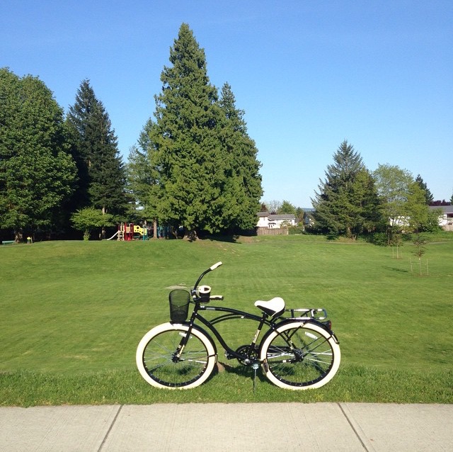 Bonson Park | 11546 Bonson Rd, Pitt Meadows, BC V3Y, Canada | Phone: (604) 465-5454