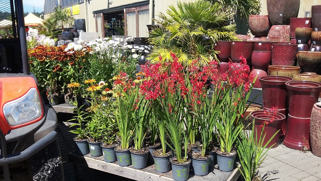 Cedar Rim Nursery Ltd | 7024 Glover Rd, Langley Twp, BC V2Y 2R1, Canada | Phone: (604) 888-4491