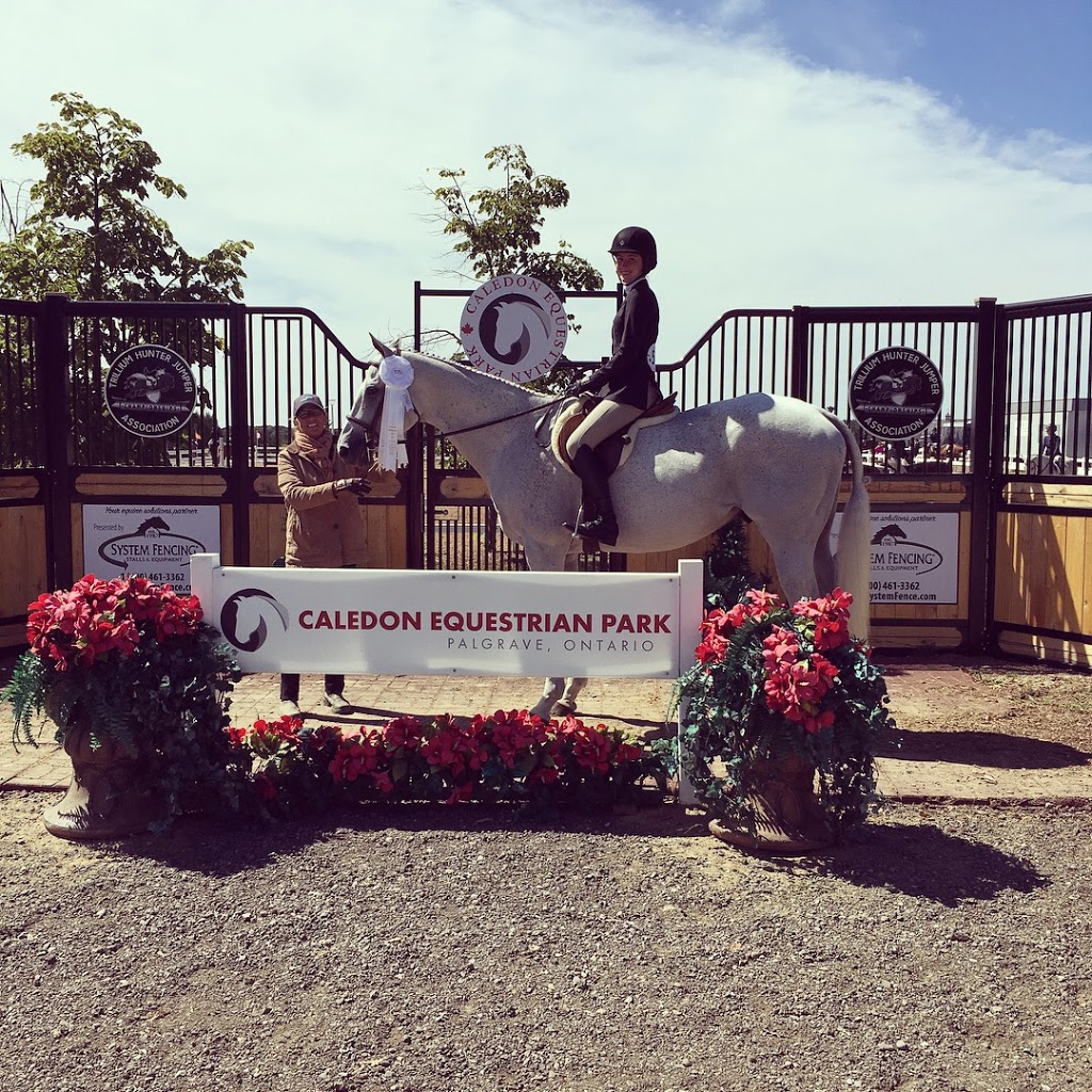 SJD Equestrian | 1122 Big Bay Point Rd, Innisfil, ON L9S 2R1, Canada | Phone: (705) 794-0788