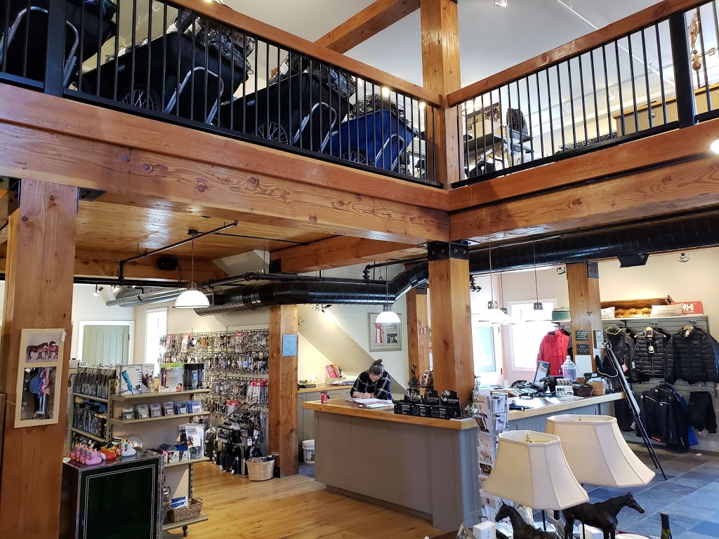 Running Fox | 19815 Airport Rd, Caledon, ON L7K 0A1, Canada | Phone: (519) 942-3933