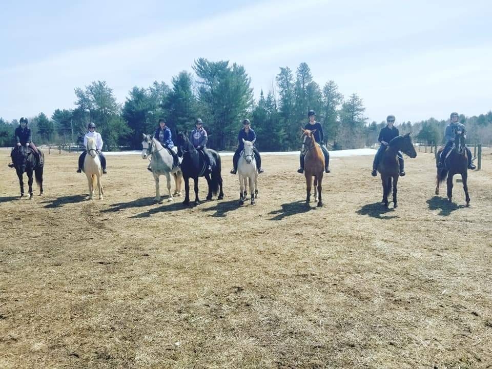 KJ Equestrian | 1326 Barkway Rd, Gravenhurst, ON P1P 1R3, Canada | Phone: (705) 645-7073