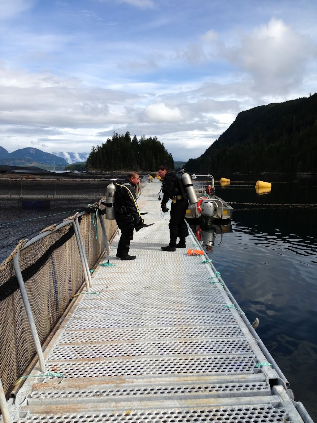 Diveco Marine | 200 Carmanah Dr, Courtenay, BC V9N 8N4, Canada | Phone: (250) 334-6598