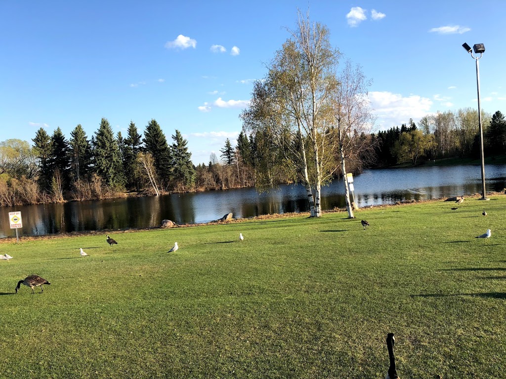 Charles Anderson Park | 3803 105 St, Edmonton, AB T6J 2K6, Canada