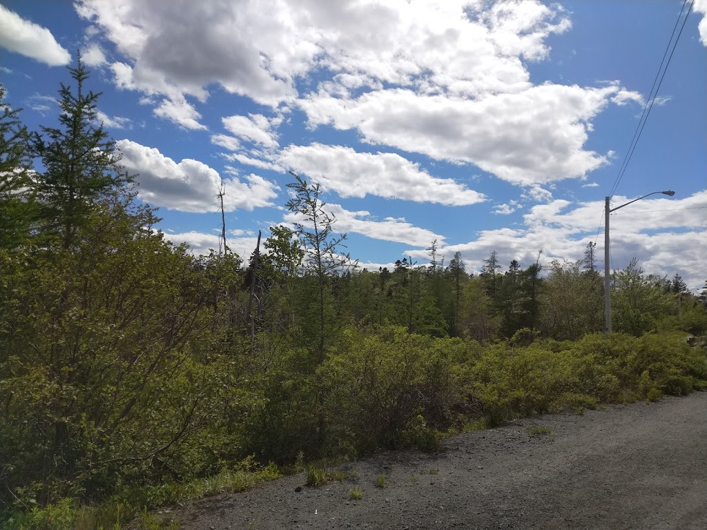 Mainland Common Park | Clayton Park West, Halifax, NS B3S 1K3, Canada