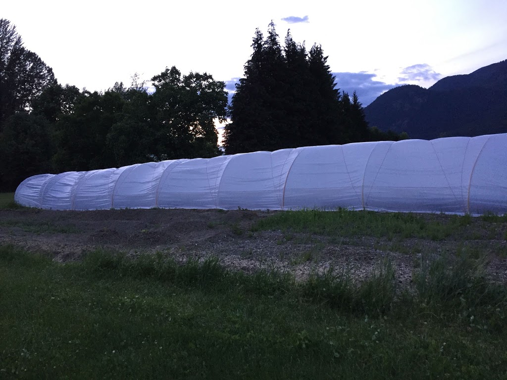 Reggies Veggies | 7342 Clover Rd, Pemberton, BC V0N 2L0, Canada | Phone: (604) 698-9998