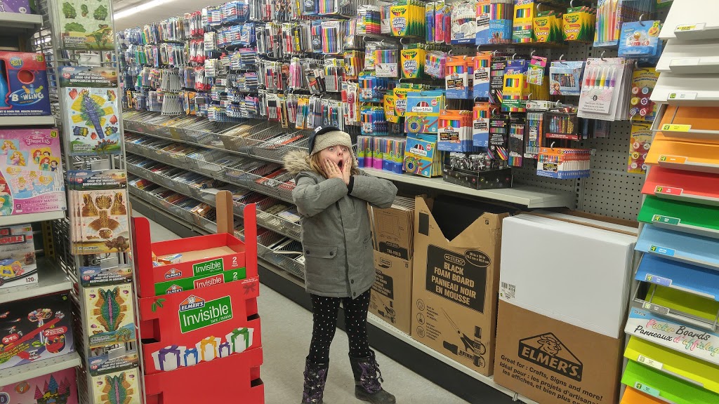 Dollarama | 835 Queen St, Chatham, ON N7M 2K5, Canada | Phone: (519) 351-8833