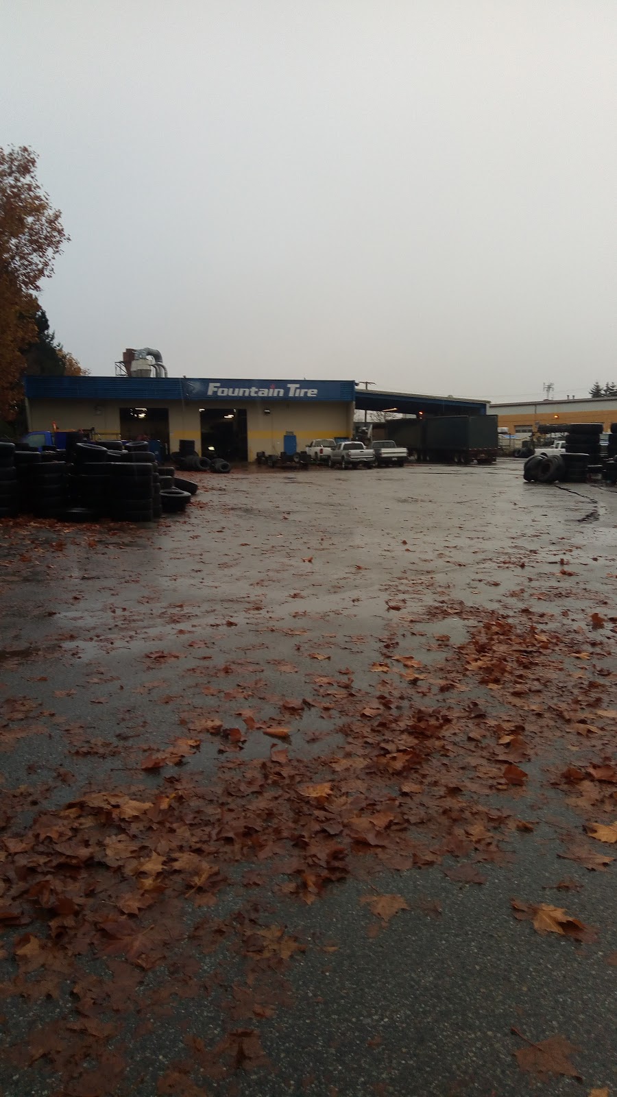 Fountain Tire | 7993 Progress Way, Delta, BC V4G 1A3, Canada | Phone: (604) 940-6388