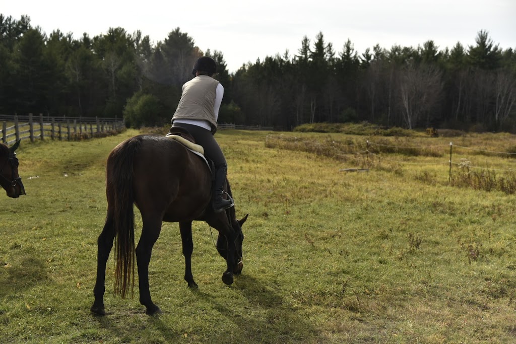 Canyon Creek Farm | 297 Barron Canyon Rd, Pembroke, ON K8A 6W7, Canada | Phone: (613) 312-7197