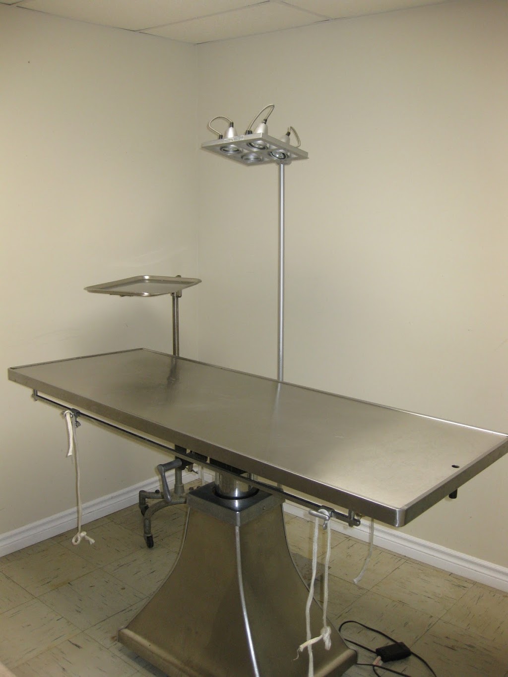 Belmont Veterinary Services | 14128 Belmont Rd, Malahide, ON N0L, Canada | Phone: (519) 644-1210