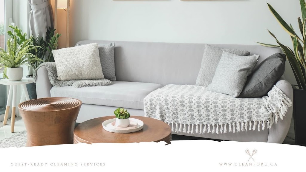 Clean For You | 1000 Spirit Trail, Gooderham, ON K0M 1R0, Canada | Phone: (416) 200-0661