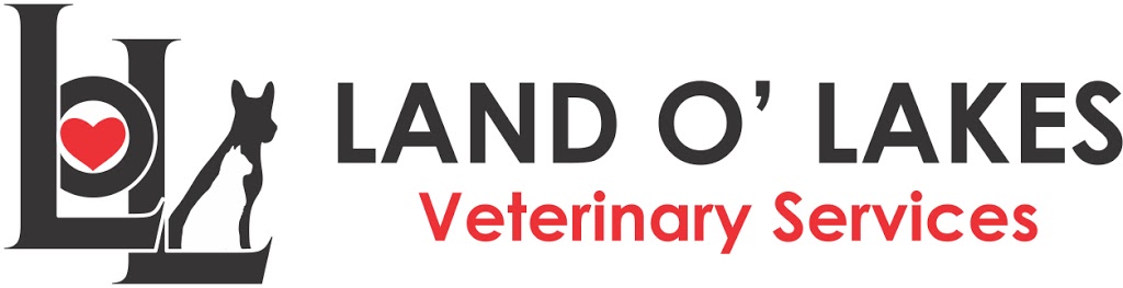 Land O Lakes Veterinary Services | 14 Bosley Rd, Northbrook, ON K0H 2G0, Canada | Phone: (613) 336-1608