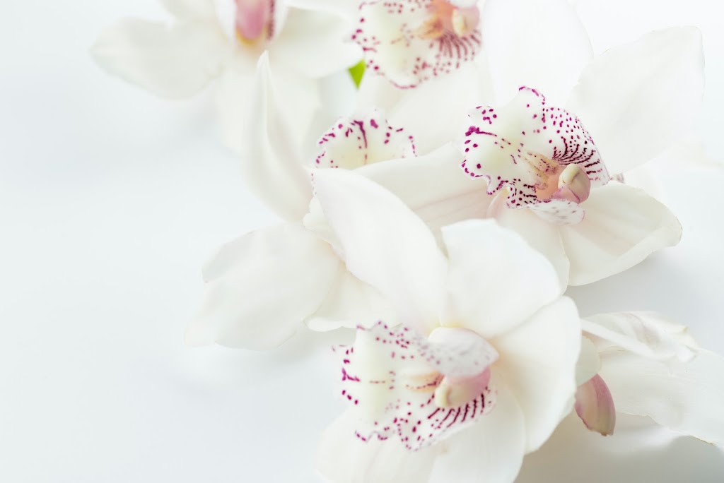 Head to Toe Esthetics by Sara | 181 Groh Ave Unit 201A, Cambridge, ON N3C 1Y8, Canada | Phone: (519) 721-6439